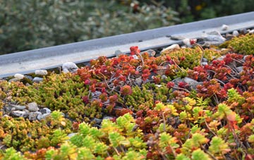 the cost of Petertown green roof installation