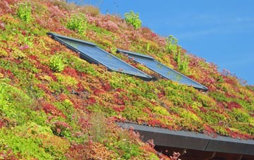 Petertown living roof systems