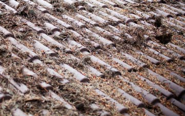 Petertown roof cleaning companies