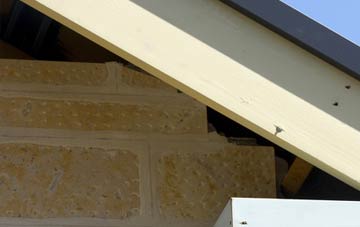 soffit repair Petertown