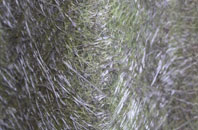 Petertown fibreglass roof work